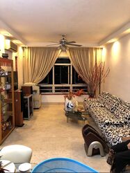 the-tropica photo thumbnail #15